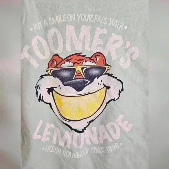 Comfort Colors Tee Short Sleeve Mint Green Tiger Graphic Size Small - Picture 5 of 5